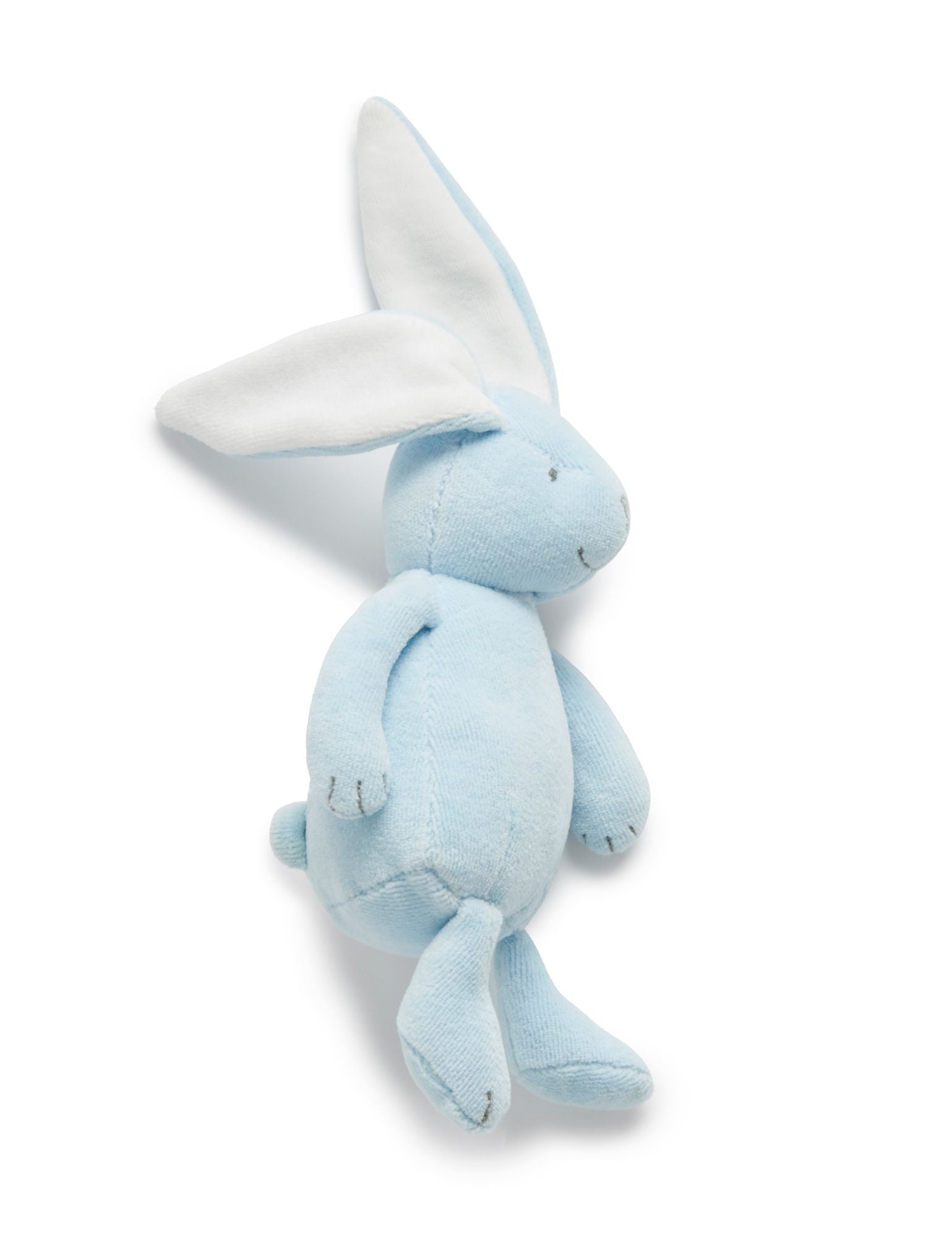 Blue Bunny Love